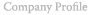 Company profile